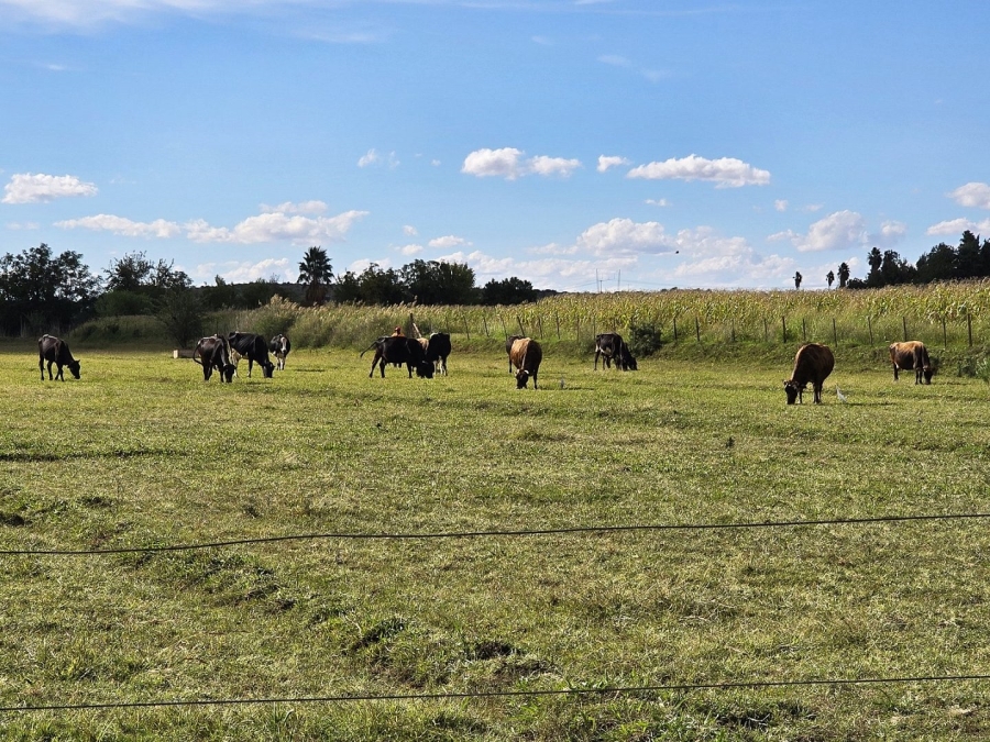 Commercial Property for Sale in Upington Rural Northern Cape